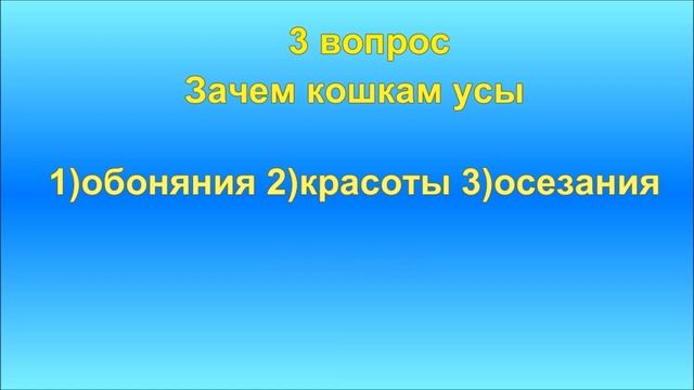 5 вопросов и 5 ответов смотреть онлайн