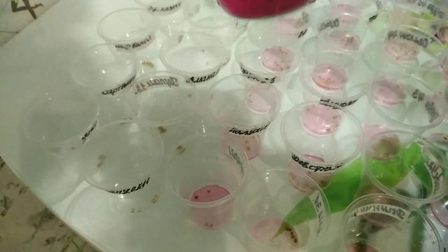 Подготовка семян ТОМАТОВ к посеву с ТАНЦАМИ и БУБНОМ для дальнейшей РЕЗКИ рассады. смотреть онлайн