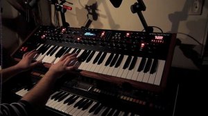 Dave Smith Instruments Prophet 12 Synth Demo by INHALT
