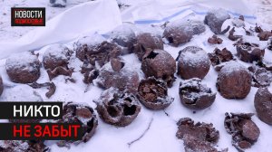 Останки солдат Красной армии нашли под Истрой