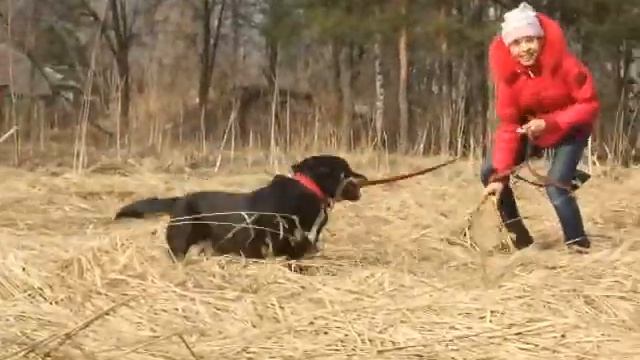 Тильда на погулке смотреть онлайн