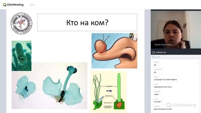 Циклы развития растений