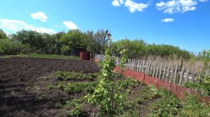 Дети купили дачу🌼