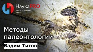Методы палеонтологии | Лекции по палеонтологии – палеонтолог Вадим Титов | Научпоп
