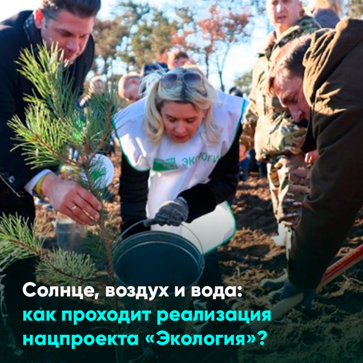 Как проходит реализация нацпроекта «Экология»