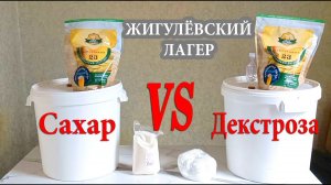 18+  ЖИГУЛЁВСКИЙ ЛАГЕР !!! Сравниваем вкус, брожение на сахаре и на декстрозе.