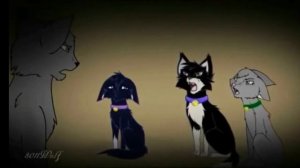 Коты воители песня тик так на часах