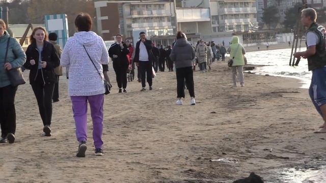 АНАПА больше не верит Елене Малышевой! смотреть онлайн