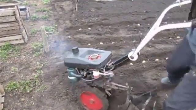 Как посадить картошку мини мотоблоком без лопаты