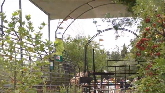 Едем в ялтинский зоопарк смотреть онлайн