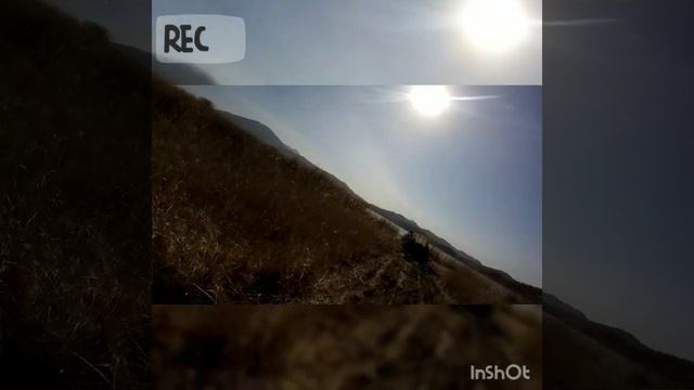 Первый раз пошёл на уток, охота смотреть онлайн