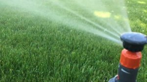 Gardena T100 Pop-Up sprinkler in action
