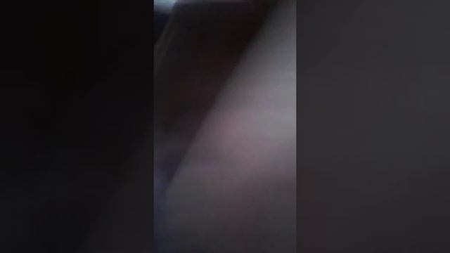 Мне купили котенка смотреть онлайн