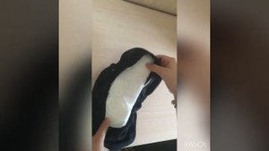 Как приклеить прокладки для девочки у которой начались ?!☺️?