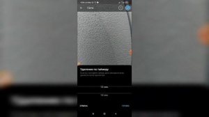 Как отправить фото с таймером в Телеграме? Как послать фотографию в Telegram?
