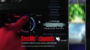 SONY DSX Series DSX-S100, DSX-S200X, DSX-S300BTX