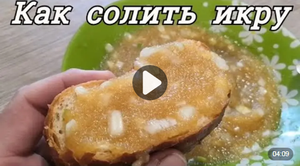 КАК СОЛИТЬ ИКРУ: Способ приготовления щучьей икры.