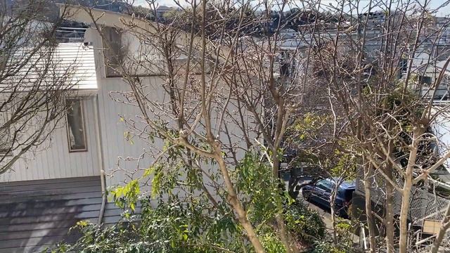 【北鎌倉エリア賃貸物件】開口部からの空・雲・太陽が美しいデザイナーズ物件｜1679 смотреть онлайн