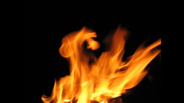 Николаевские голуби Сергея Родионова. (С Новым 2020 Годом!) Волгоград. Часть 52 смотреть онлайн