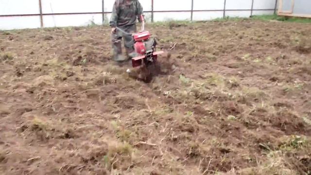 Видео вспашка и расчистка участка от корней мотоблоками www wetzavet ru смотреть онлайн