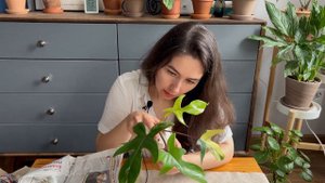 Долгожданная новинка! / Распаковка посылки с растением