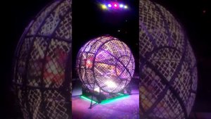 Шар смелости в цирке Новокузнецка