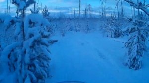 Стелс витязь поездка на охоту с приключениями