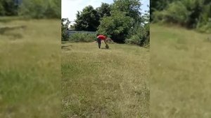 Купили щенка. Московская сторожевая щенок. Сторожевая собака. Собака для дома. Собака для охраны.