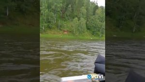 Наконец-то нашли нужный комплект лодка Солар Джет, ямаха 40