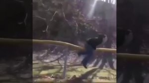 Остался без яиц