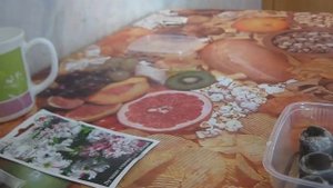 Петунья. Посев петуньи. Самый легкий способ для новичков.