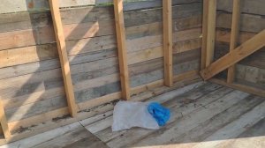 Начали строить коровник для одной коровы