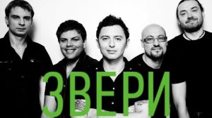 20 ЛУЧШИХ ПЕСЕН ГРУППЫ ЗВЕРИ / Хиты группы Звери / Напитки покрепче, Дожди-Пистолеты и другие
