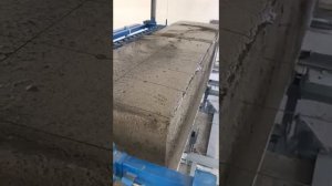 Резка газобетона - Автоматизированный Струнный Резательный Комплекс "НПО МЕРКУРИЙ"