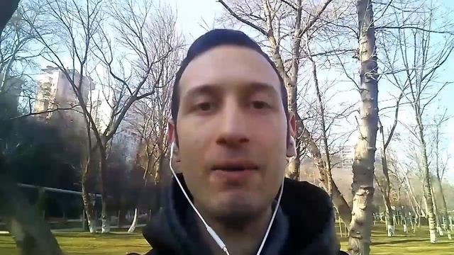 Философия Шопенгауэра за 3 минуты