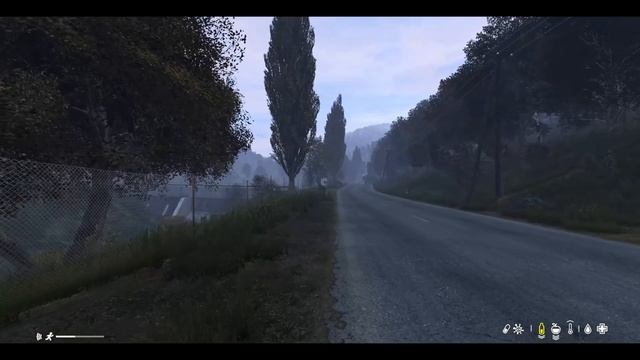 DAYZ Einsteiger GUIDE - Die wichtigsten Basics!