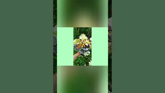 РАЙСКИЕ САДЫ МОИХ ПОДПИСЧИКОВ. ЧАСТЬ1. ПРИГЛАШАЮ НА ПРОГУЛКУ. смотреть онлайн