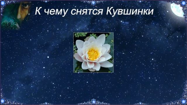 К чему снятся Кувшинки (Сонник) смотреть онлайн