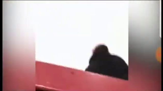 Между нами тает лЁд. Видео приколы смотреть онлайн