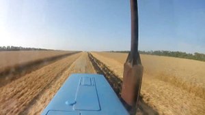 2019г 4Д (2 часть)-5Д Опахиваю края поля на МТЗ 82.1