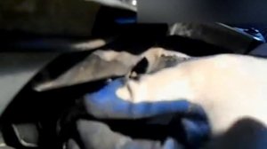 Как снять лампу головного света  на VW-polo