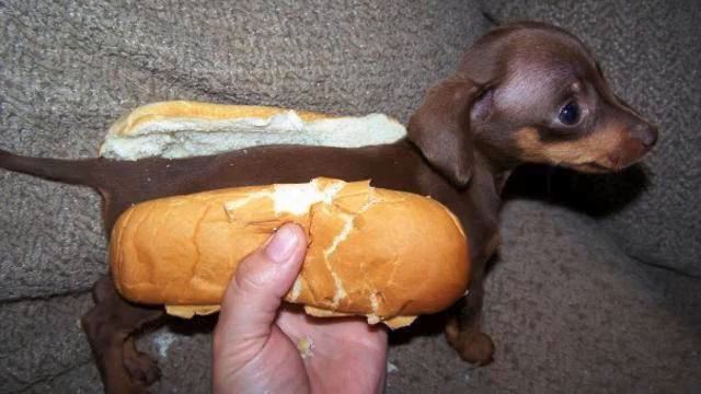 Музыка лето . От нее где-то в душе становится так тепл... смотреть онлайн