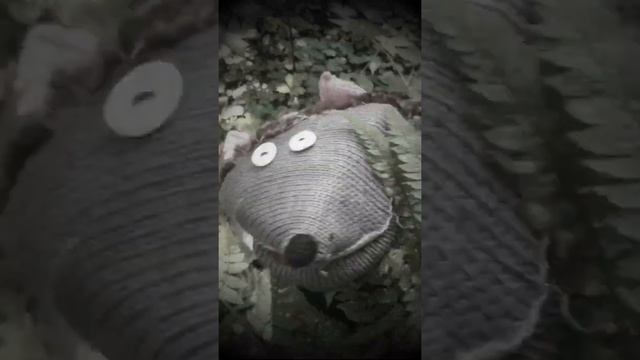 Ёжик Боря в лесу смотреть онлайн