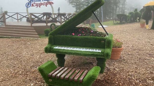 Зелёная Поляна на Красной Поляне. Красивый парк.