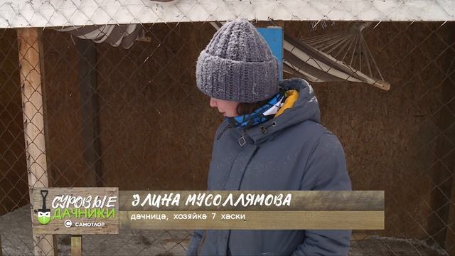 «Суровые дачники». Выпуск №2.