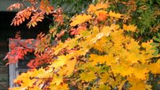 Новый год (церковный) для детей смотреть онлайн