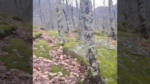 Поход на гору Цыганкова,  через дольмен Анастасия, родник, водопад 15.12.2018 г