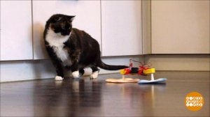 ...А пол помоет робот! Доброе утро. Фрагмент выпуска от 11.02.2019