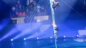 Цирк братьев Запашных - Шоу «К.У.К.Л.А.»