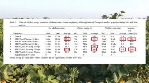 Монофосфат калия. Влияние на качество ягод и урожайность винограда. Результаты научного исследовани